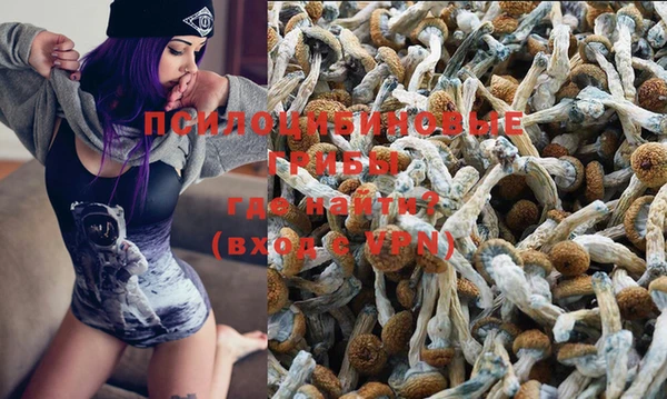 винт Рославль