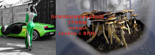 тгк Россошь