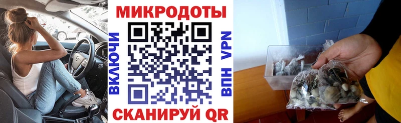 Галлюциногенные грибы мухоморы  Купить закладки  Стерлитамак 