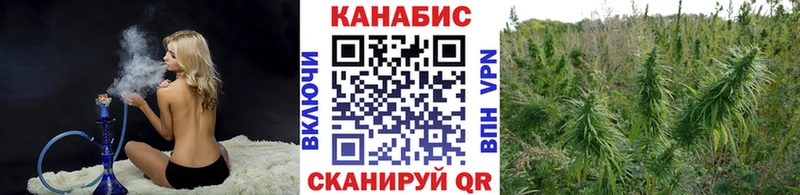 Бошки Шишки MAZAR  Купить  Стерлитамак 